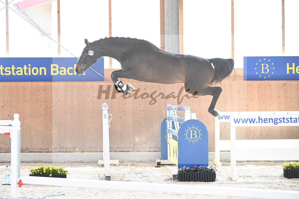 Kat-Nr. 13 Courchevel B v. Cizero Z_Bachl_5250175 | hf-fotografie - Realizzato con Pictrs.com