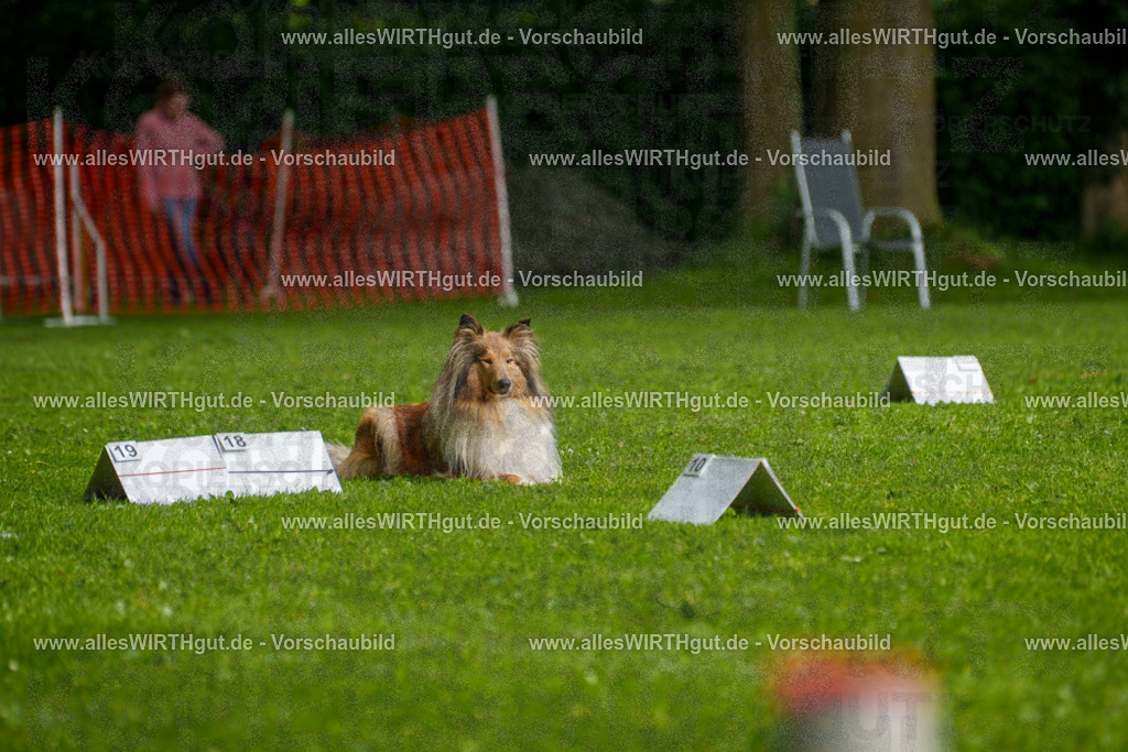 @allesWIRTHgut_Tierfotografie - www.allesWIRTHgut.de - 7R503041 | Professionelle Tierfotografie in Mönchengladbach von Daniel Wirth (allesWIRTHgut). Liebevolle & natürliche Bilder von Hunden & Katzen für unvergessliche Erinnerungen.