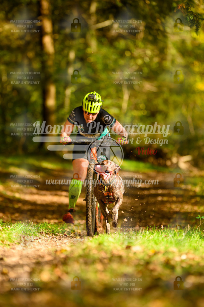 MompixPhotography_20TSB_E1_DS1-24 | PayLife