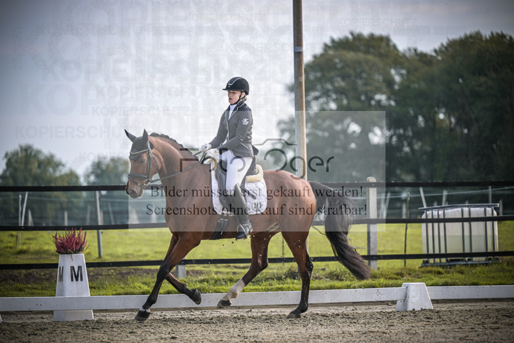 DOS_B013 | Entdecke hochwertige Reitturnierfotos von Foto Oger. Professionell, emotional und authentisch – jetzt Lieblingsmomente im Shop bestellen.Deutschlandweite Turnierfotografie. - Realisiert mit Pictrs.com