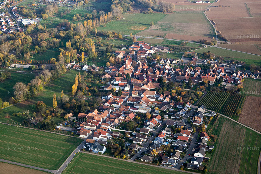 Luftbild: Ortsansicht der Straßen und Häuser der Wohngebiete im Ortsteil Mühlhofen in Billigheim-Ingenheim im Bundesland Rheinland-Pfalz in Deutschland. Foto: IMG_085193.jpg vom 08.11.2015 durch Werner Riehm/FLY-FOTO.de