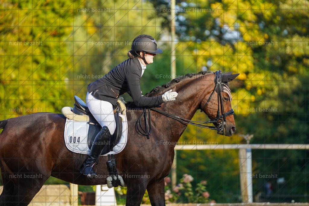 20221007-FAH00424 | Diessen am Ammersee, 2022, Dressur- und Springturnier, Reitsportbilder, Turnierfotografen Bayern, Pferdefotografen, Fotoagentur Herrmann, Turnierbilder