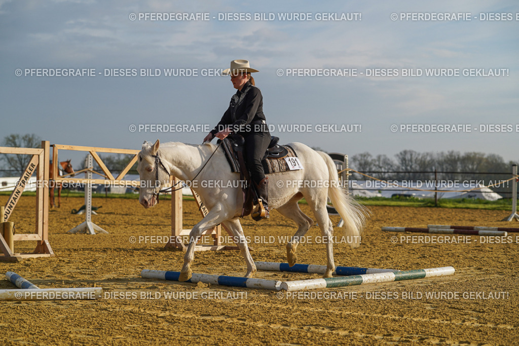 DSC00087 | Pferdegrafie