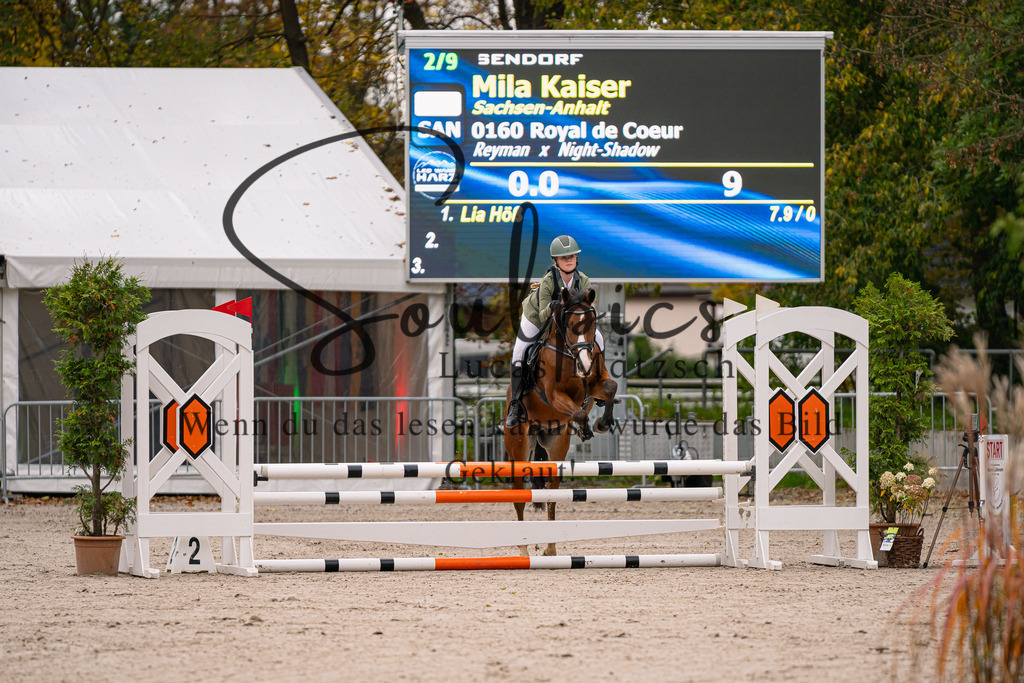 A7V09647 | Pferdefotograf