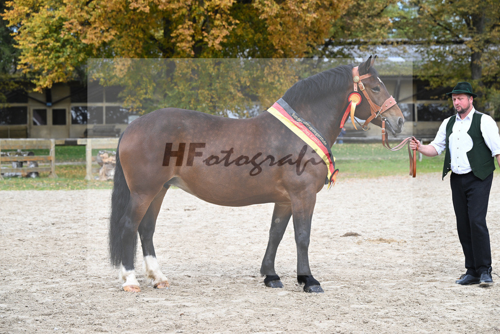 Kat-Nr. 76 Pipa_Gasteiger_53223621 | hf-fotografie - Realizzato con Pictrs.com