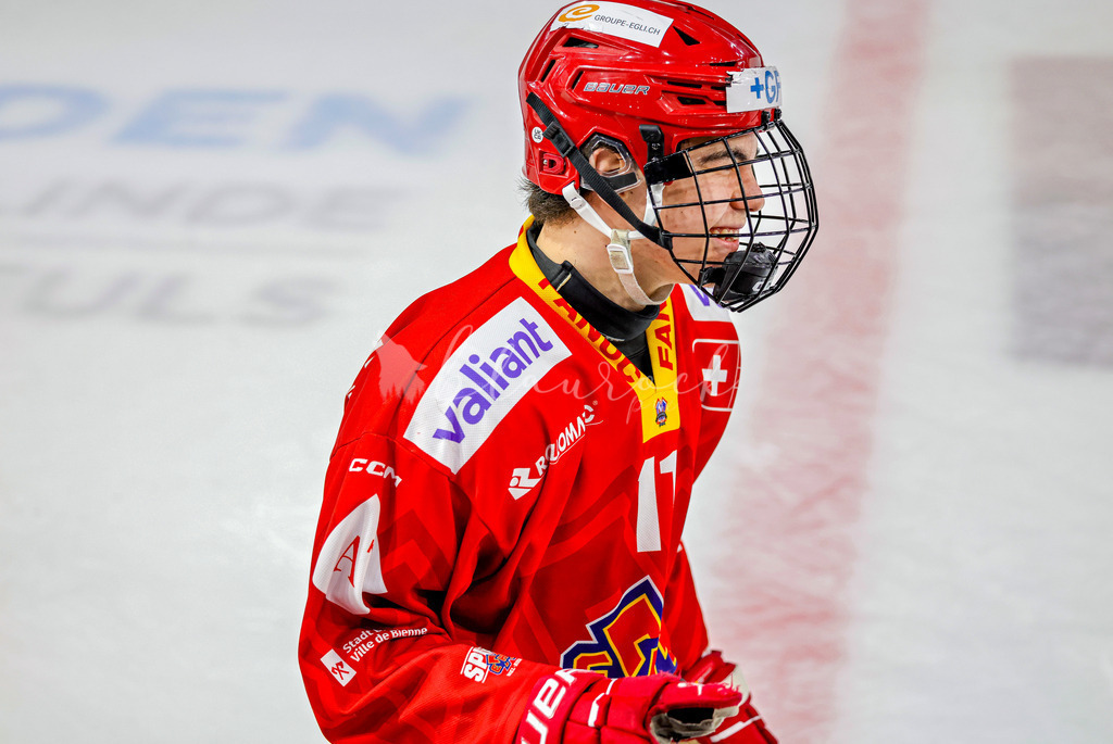 EHCB vs HCD-1579 | Sportbilder, Sportfotograf, Hochzeits- und Eventfotografin, Flugshows, Portraits und Tiershooting, Aviation, Downhill, Nationalleague, Swissleague, International