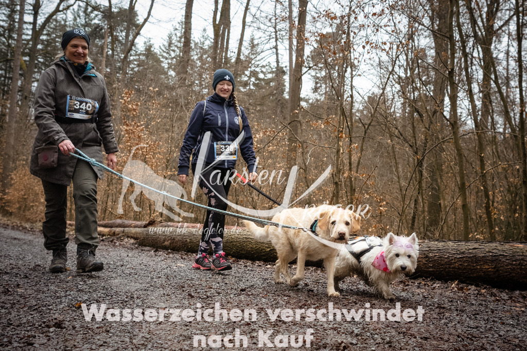 1129_ZZ90383 | kk-dogfotos