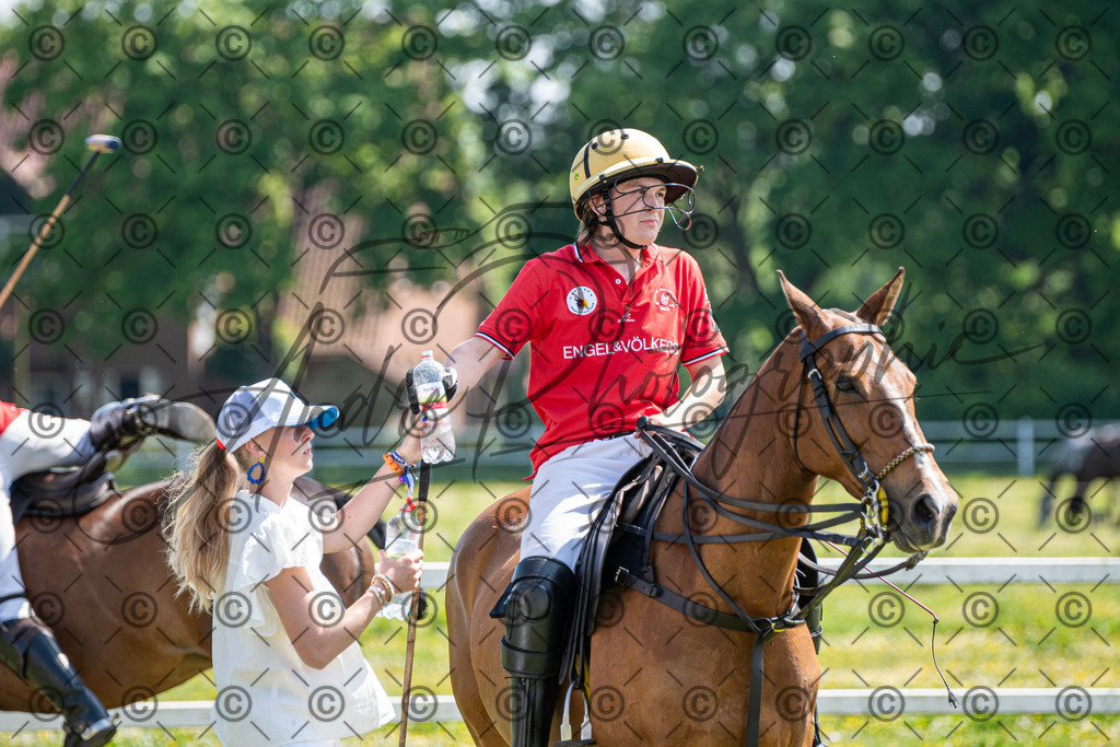 POL_2317 | andre_photographic