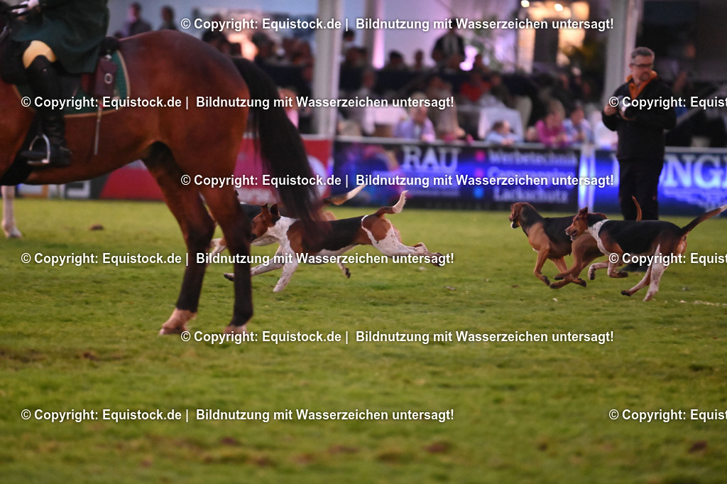 20240517_Lange-Pferdenacht_0431 | Foto: Thomas Hartig