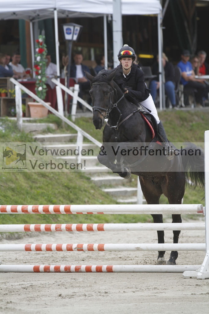 _MG_5107 | equestrian-live-com