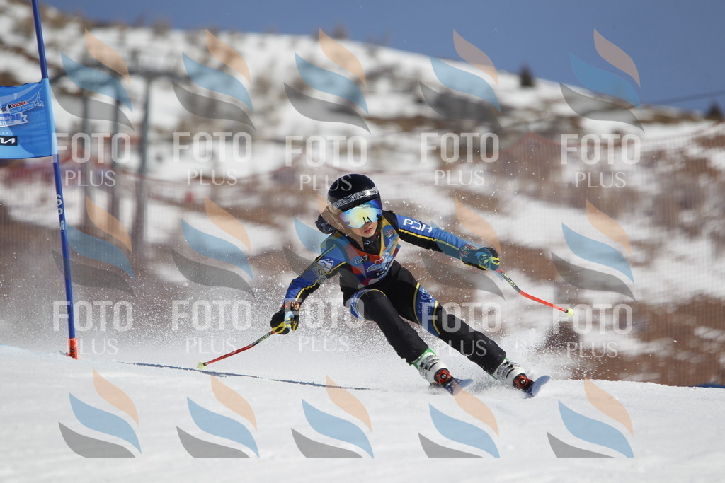 _U3G9576 | holidayphoto