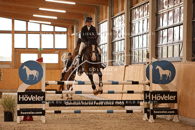 1J2A6811Franziska Klöpper_ Cetellus_ Kn110_ Glantz_ Hohen Wieschendorf | Foto- und Videografie für alles rund ums Pferd. Hochwertige Bilder und Videos vom Spring- und Dressurreiten, Voltigieren & mehr. Jetzt aktuelle Veranstaltungen und Preise im Shop ansehen. - Realisiert mit Pictrs.com