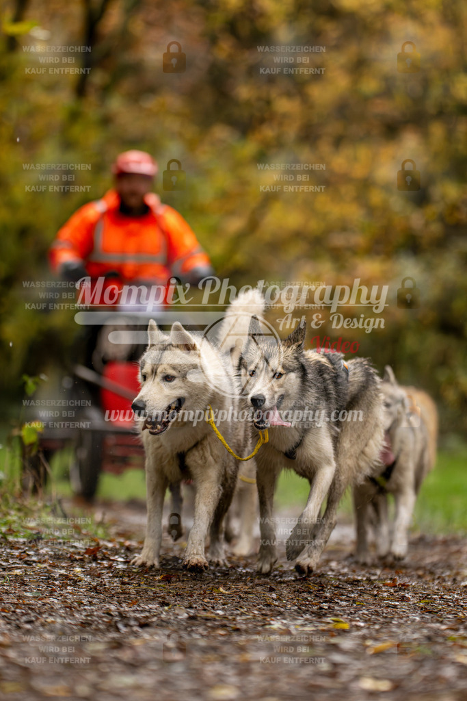 MompixPhotography_Bischwiller23_Kart-26 | PayLife