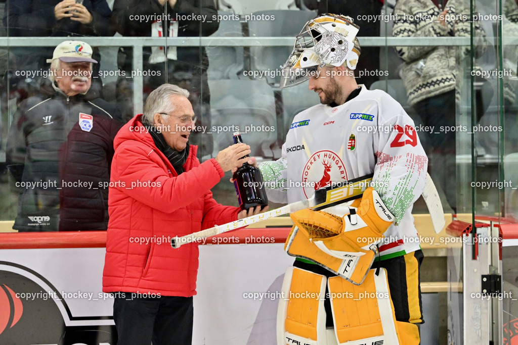 Österreich vs. Ungarn 14.12.2023 | Österreich vs. Ungarn 14.12.2023, Österreich vs. Ungarn  am 14.12.2023 in Klagenfurt (Heidi Horten Arena), Austria, (Photo by Bernd Stefan)