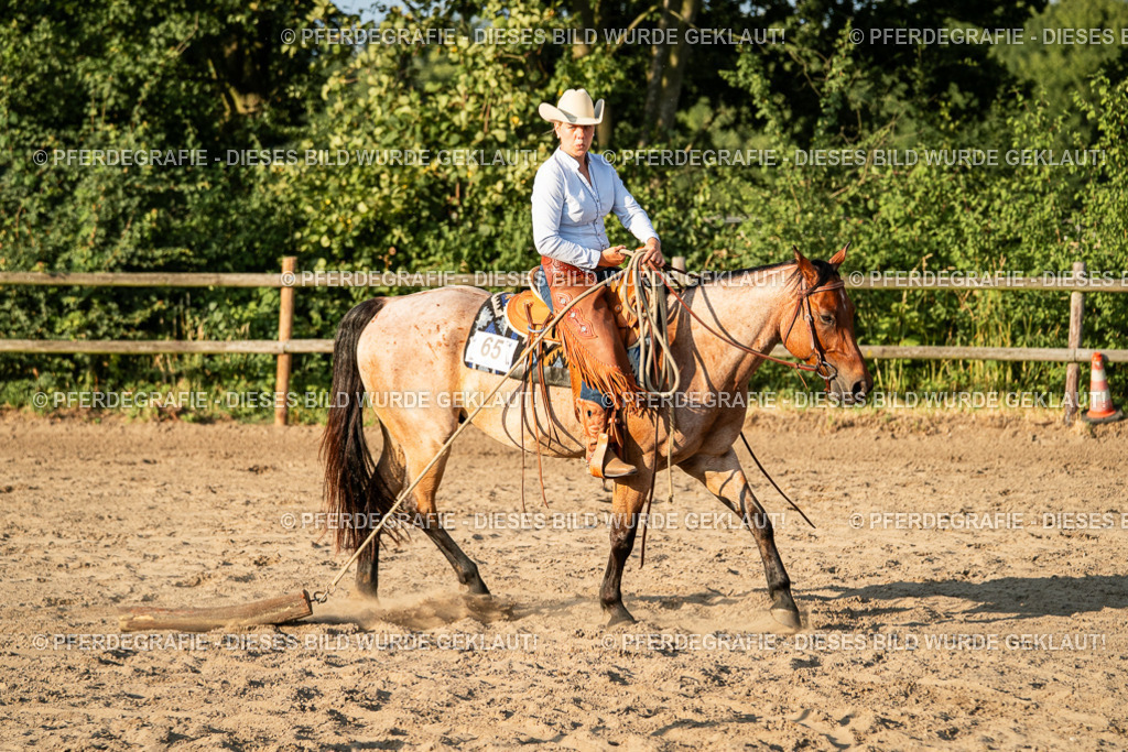 DSC06271 | Pferdegrafie