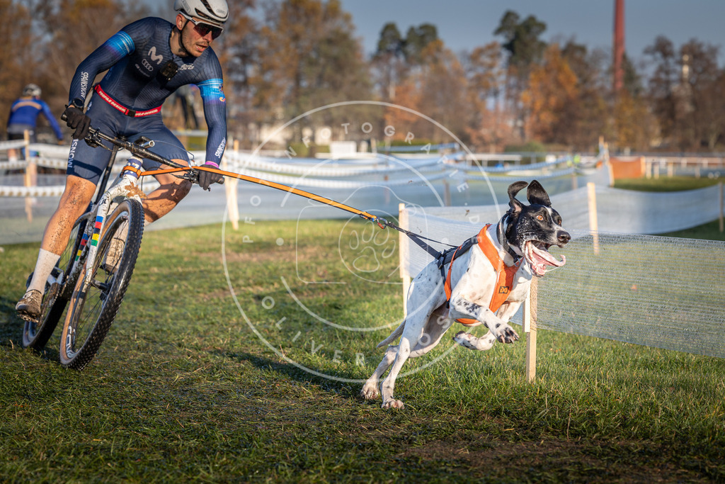 CaniXpix_0L8A3690 | Hundefotografie, Tierfotograf, Pfotenfotografie, Fotoshooting Hund, Hunde Portrait, Hundesport, Hundeportraits, Heideshooting, Hunde, Sportfotograf, Hundefotograf, Turnierhundsport, THS,  - Realisiert mit Pictrs.com