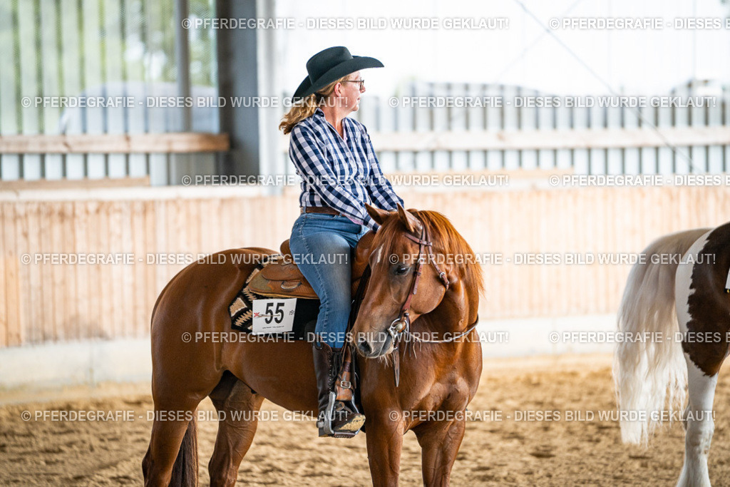 DSC08348 | Pferdegrafie