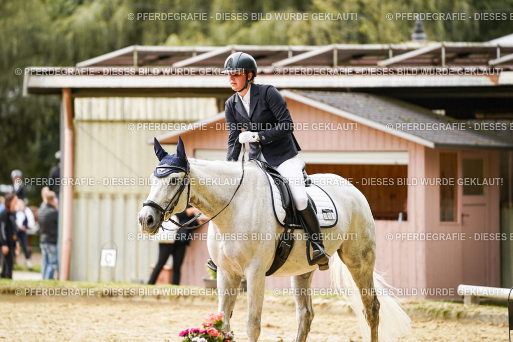 DSC02846 | Pferdegrafie