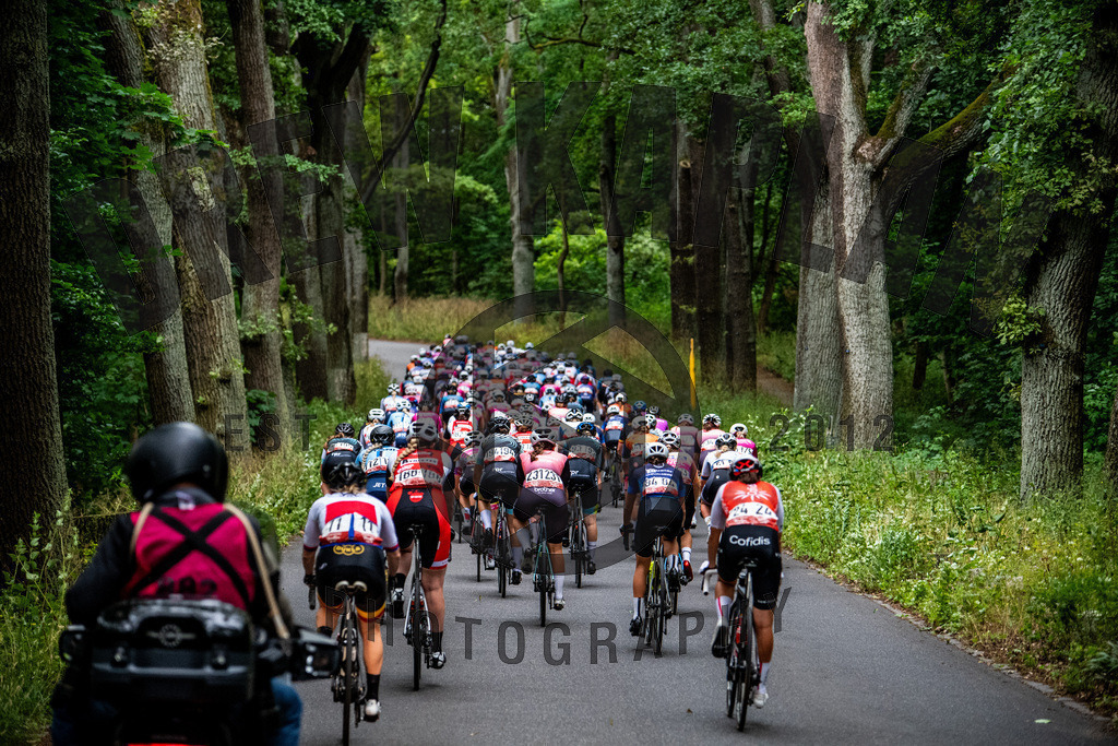 _DKP9931 | Drew Kaplan Photography