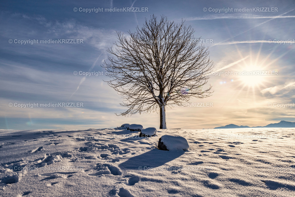 _J3A6768 | medienkrizzler - Realisiert mit Pictrs.com