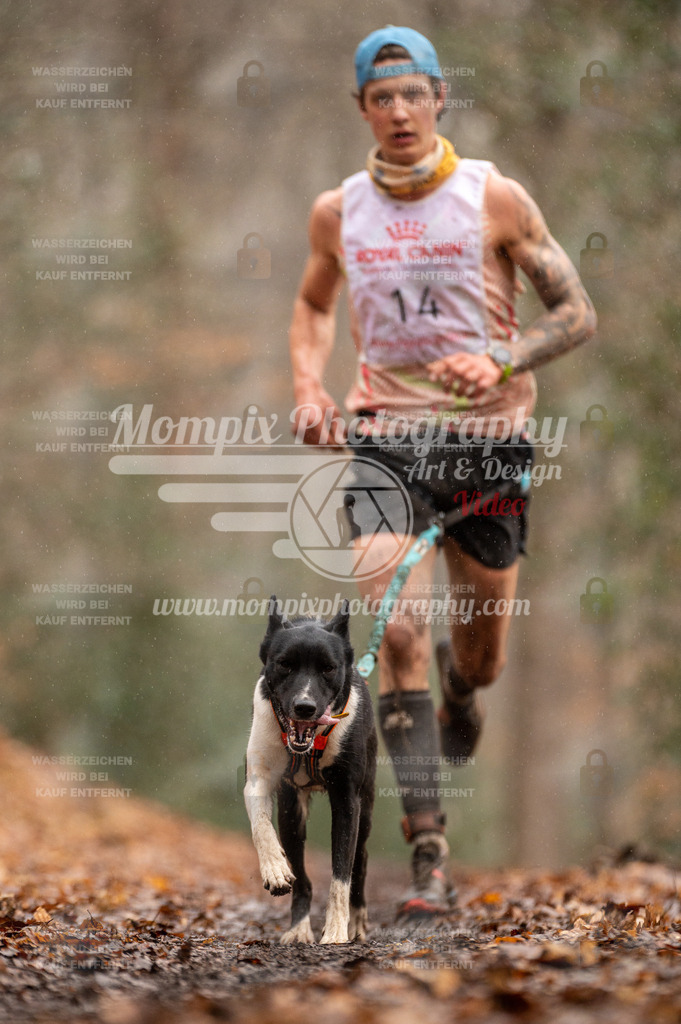 SPA_2023_DIM_CCL-25 | mompixphotography