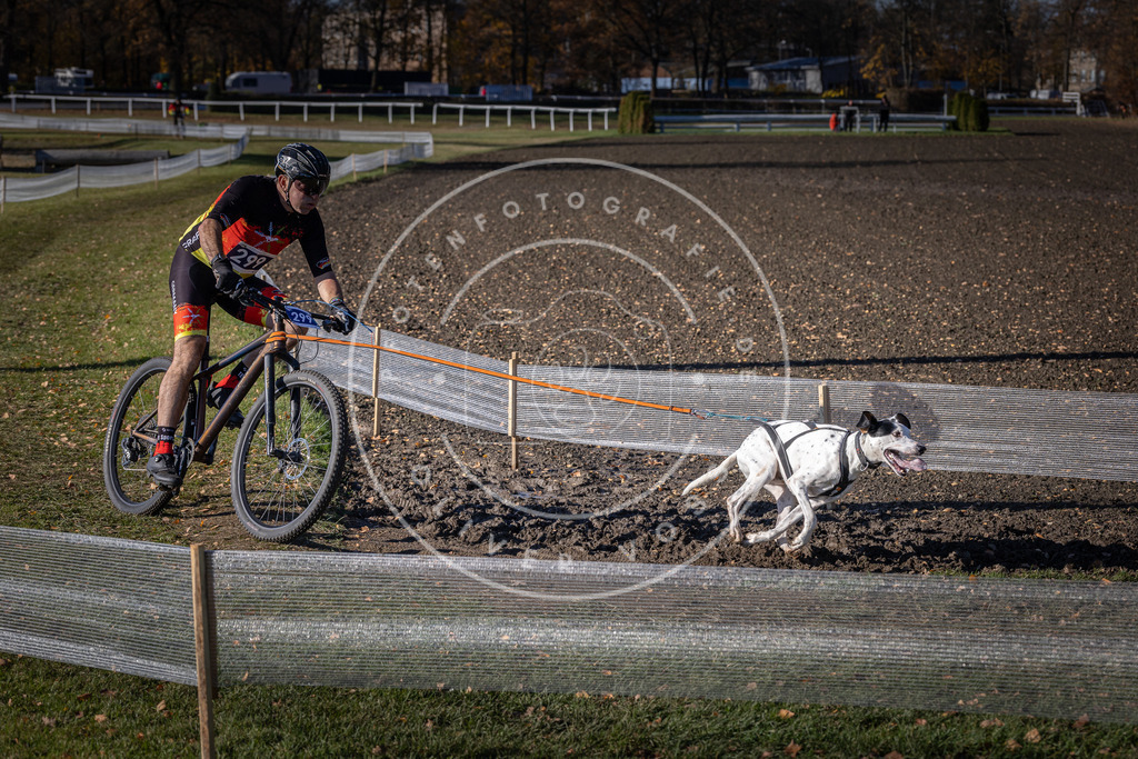 CaniXpix_DV3A6042 | Hundefotografie, Tierfotograf, Pfotenfotografie, Fotoshooting Hund, Hunde Portrait, Hundesport, Hundeportraits, Heideshooting, Hunde, Sportfotograf, Hundefotograf, Turnierhundsport, THS,  - Realisiert mit Pictrs.com