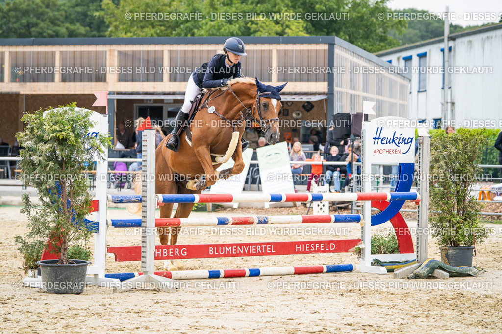 DSC00413 | Pferdegrafie