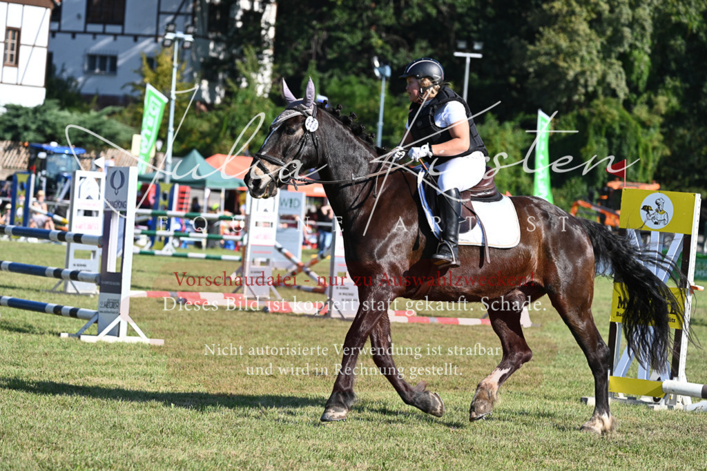 DSC_5181 | Pferde- und Turnierfotografie in Westsachsen. Pferdeportraits, Auftragszeichnungen und intuitive Kunst.