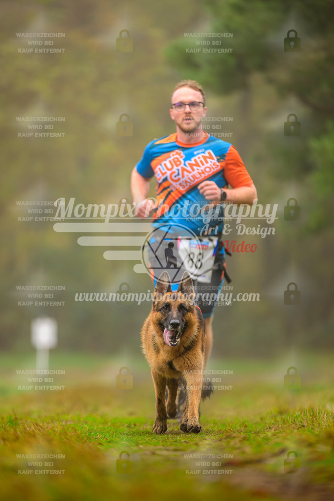 MompixPhotography_Bischwiller2025_Canicross-99 | mompixphotography