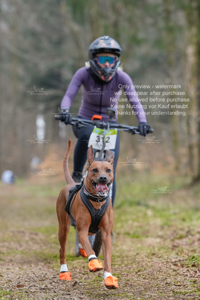 BikekurzSa-130 | stephaniefillaphotographie - Realisiert mit Pictrs.com