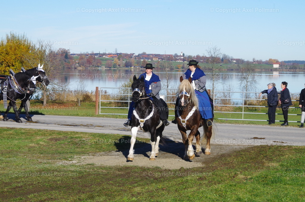 IMGP7580 | fotografiert von Axel PollmannLeonhardi Wallfahrt Benediktbeuern und Murnau, Fronleichnam, Fasching, Landschaft im Loisachtal und Benediktbeuern  - Realisiert mit Pictrs.com