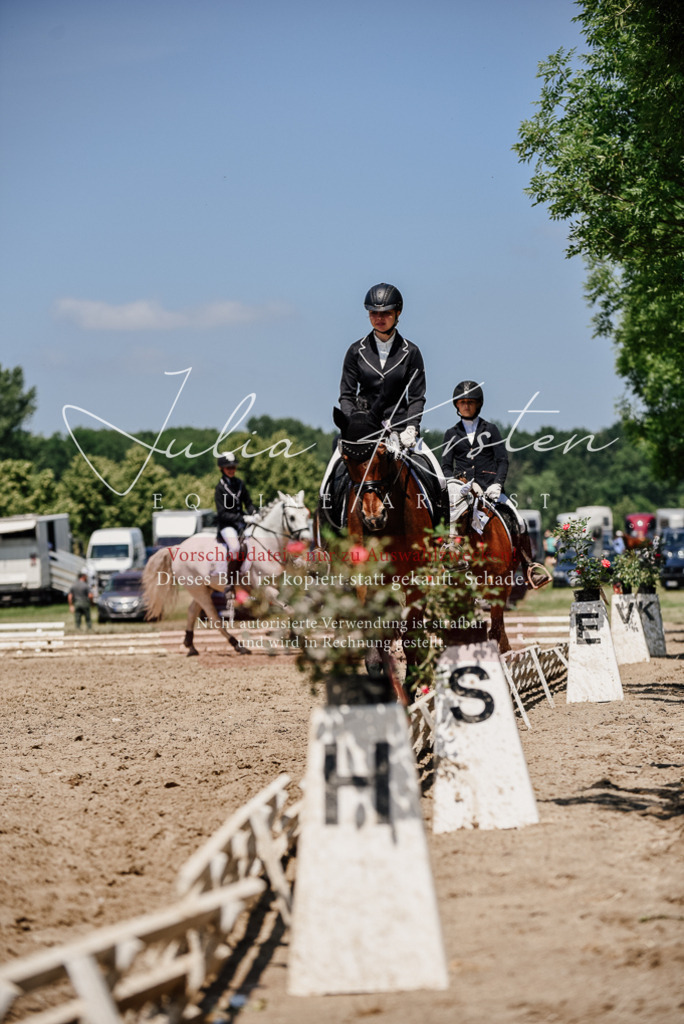 DSC_2061 | Pferde- und Turnierfotografie in Westsachsen. Pferdeportraits, Auftragszeichnungen und intuitive Kunst.