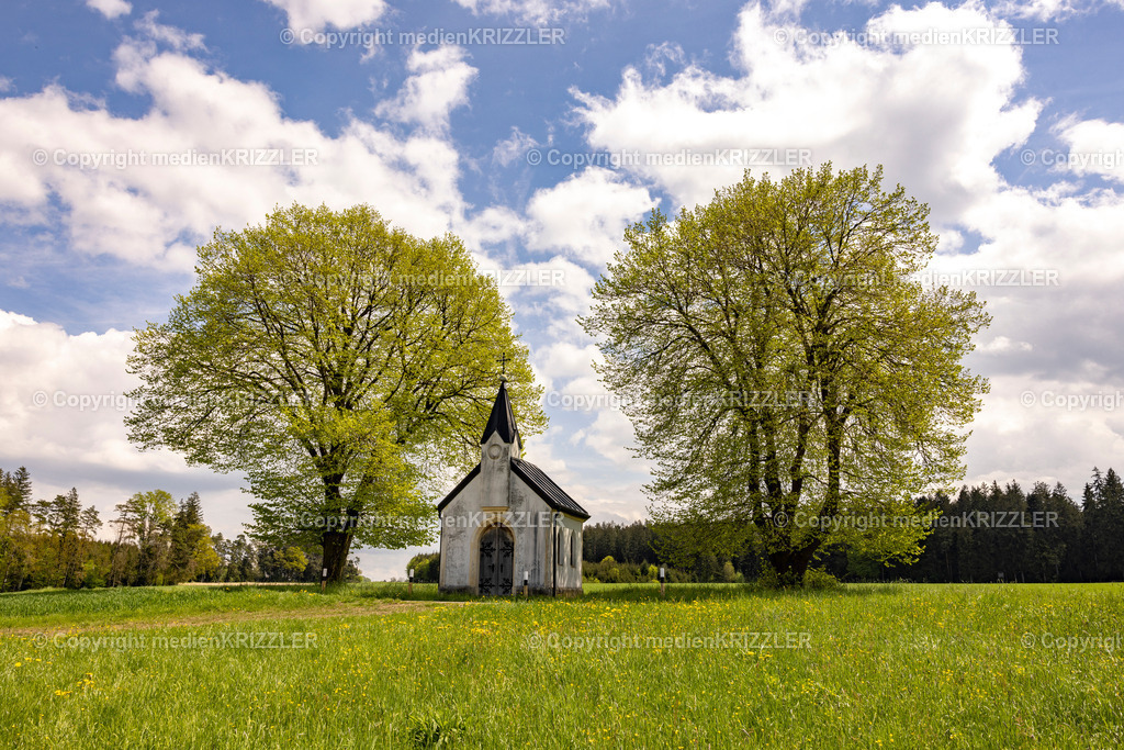 _J3A0582 | medienkrizzler - Realisiert mit Pictrs.com