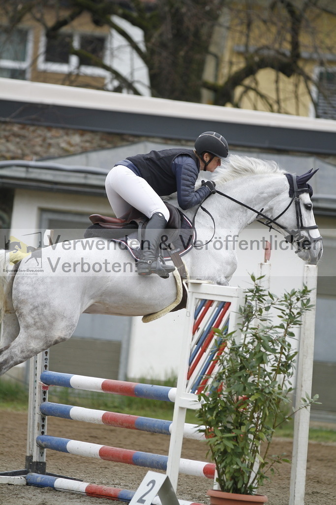 _MG_4492 | equestrian-live-com