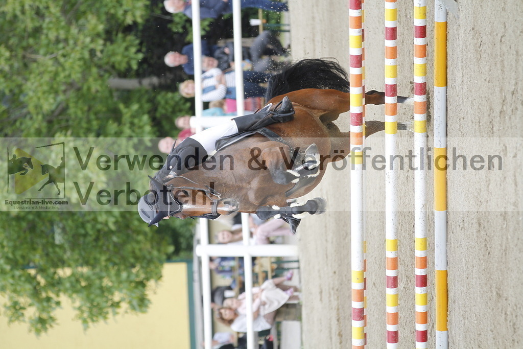 _MG_0947 | equestrian-live-com