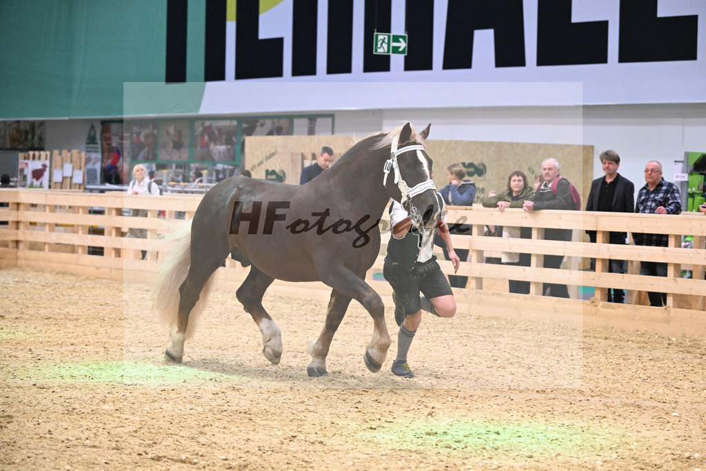 Kat-Nr. 10 Vlado v. Verry_Kotz_1260176 | hf-fotografie - Realisiert mit Pictrs.com
