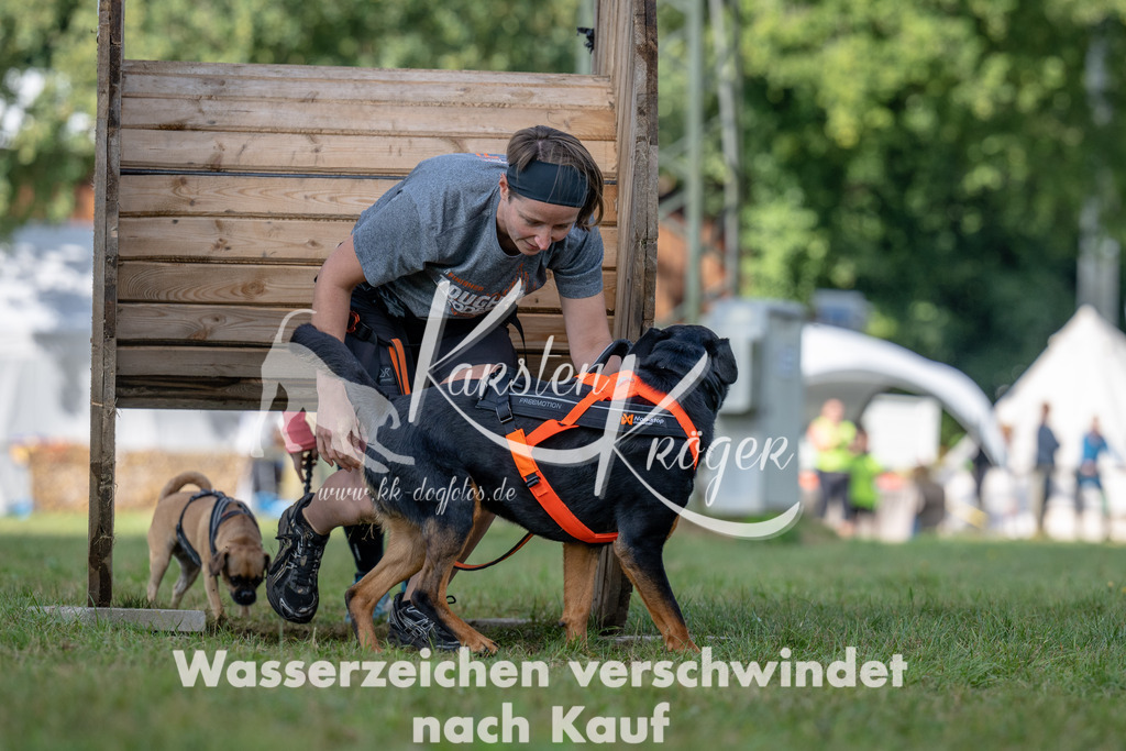 1106_ZZ93985 | kk-dogfotos