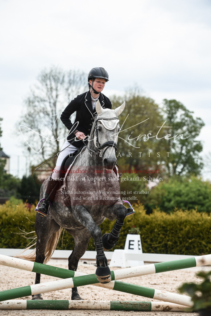 20230518_JK-Röhrsdorf-10-404 | Pferde- und Turnierfotografie in Westsachsen. Pferdeportraits, Auftragszeichnungen und intuitive Kunst.