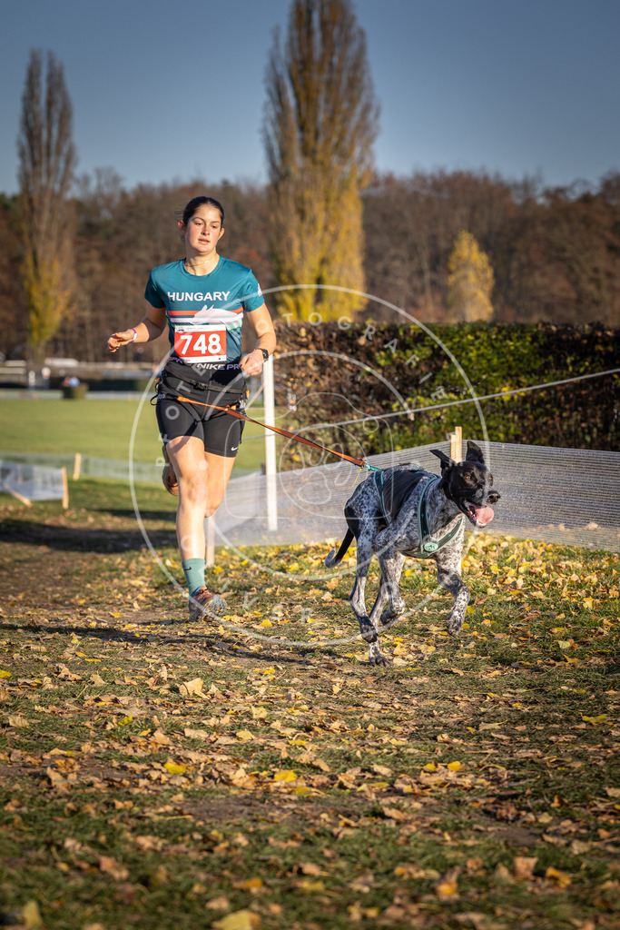CaniXpix_DV3A2368 | Hundefotografie, Tierfotograf, Pfotenfotografie, Fotoshooting Hund, Hunde Portrait, Hundesport, Hundeportraits, Heideshooting, Hunde, Sportfotograf, Hundefotograf, Turnierhundsport, THS,  - Realisiert mit Pictrs.com