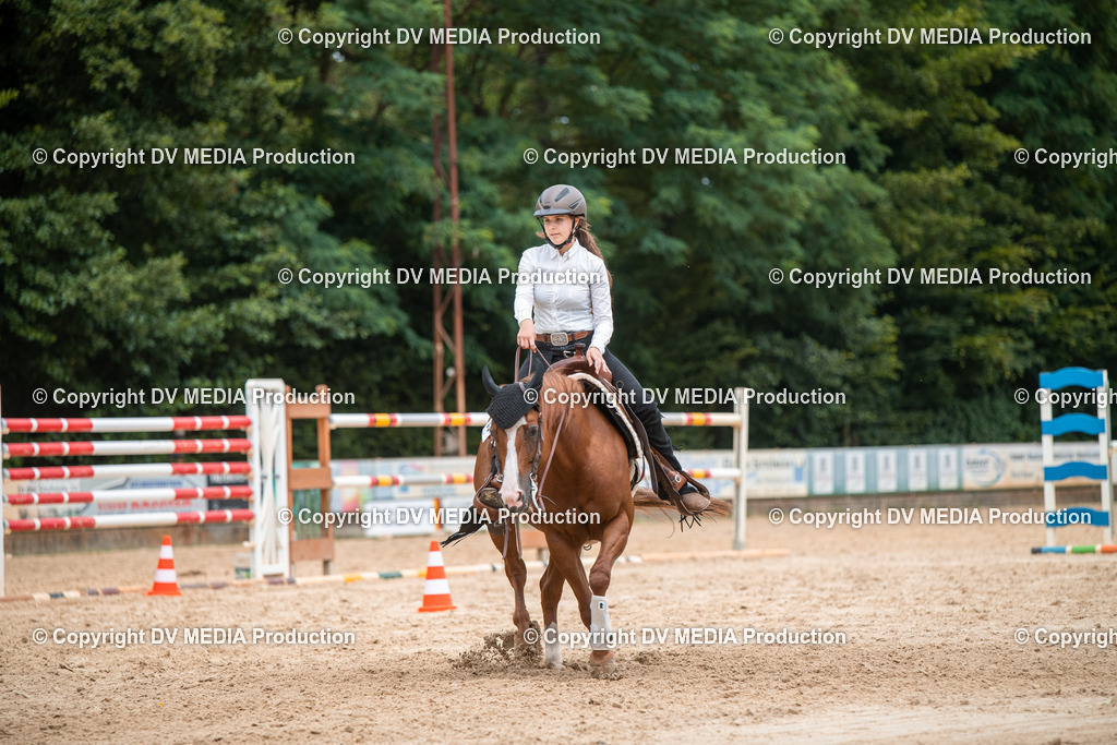 ZS2_8600 | dv-media-shop - Realisiert mit Pictrs.com