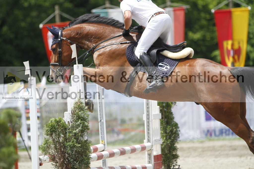 _MG_5364 | equestrian-live-com