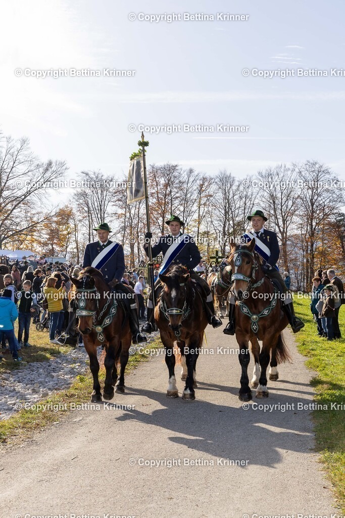 LBT24-1133 | foto-bettina-krinner - Realisiert mit Pictrs.com