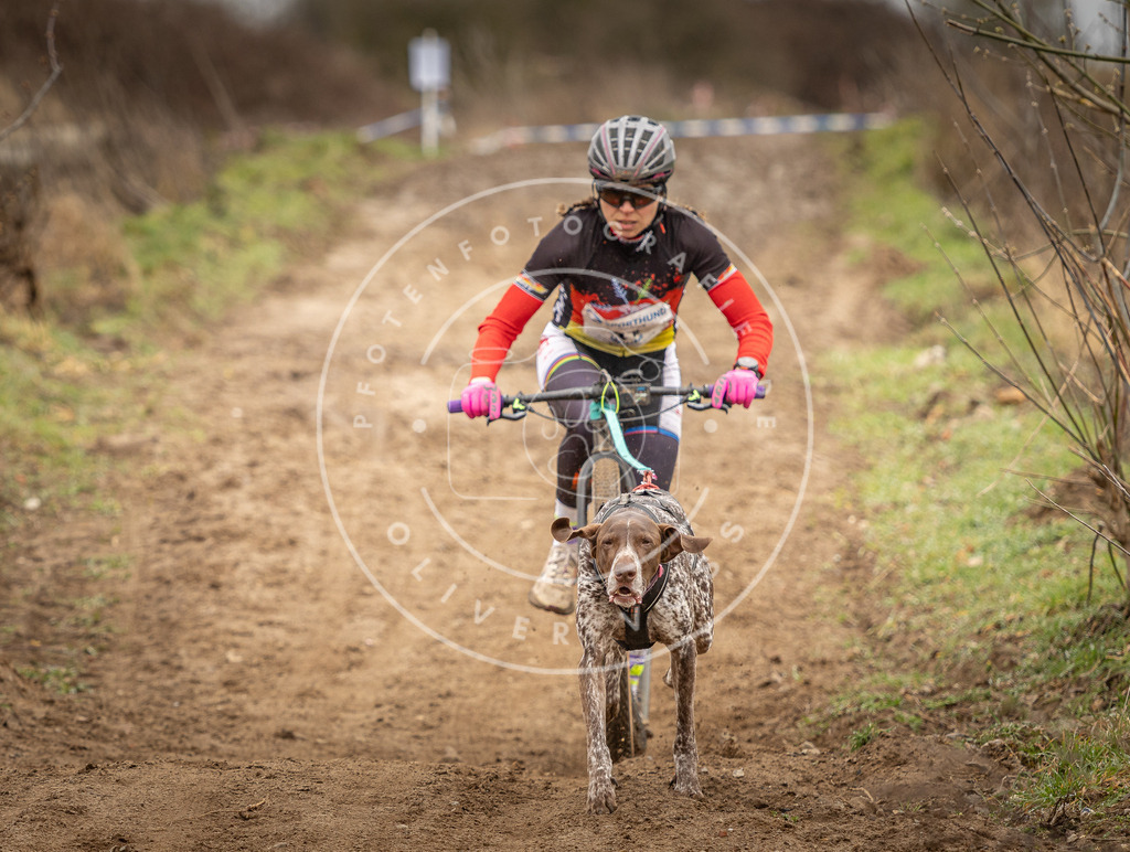 DV3A1255 | Hundefotografie, Tierfotograf, Pfotenfotografie, Fotoshooting Hund, Hunde Portrait, Hundesport, Hundeportraits, Heideshooting, Hunde, Sportfotograf, Hundefotograf, Turnierhundsport, THS,  - Realisiert mit Pictrs.com