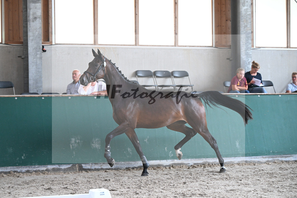 Kat-Nr. 15 Carassina S v. Chinchero_Schaefer_27150132 | hf-fotografie - Realizzato con Pictrs.com