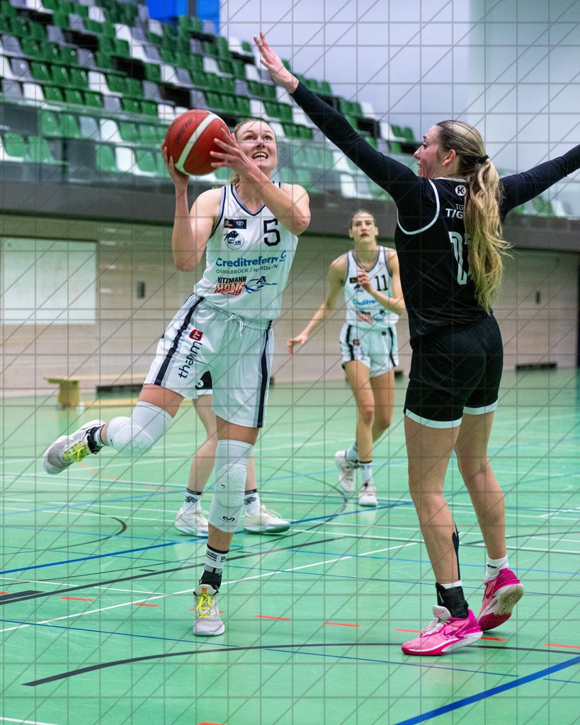 2. DBBL Nord 24/25 | 08.12.2024 | BBC OS vs. TG Neuss Tigers | 2. DBBL Nord 24/25 | 08.12.2024 | BBC OS vs. TG Neuss Tigers - - - - - CREDIT, www.bullenfotos.de, Martin König, Hörner Weg 40, D-49078 Osnabrück, +4917663732967, Nutzung und Weitergabe nur zu den vereinbarten Zwecken. Presseanfragen an Urheber. Alle Rechte beim Urheber. - - - - - - Realisiert mit Pictrs.com
