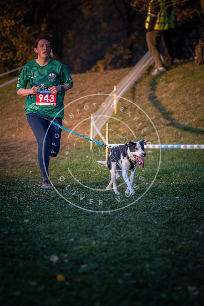 CaniXpix_0L8A1968 | Hundefotografie, Tierfotograf, Pfotenfotografie, Fotoshooting Hund, Hunde Portrait, Hundesport, Hundeportraits, Heideshooting, Hunde, Sportfotograf, Hundefotograf, Turnierhundsport, THS,  - Realisiert mit Pictrs.com