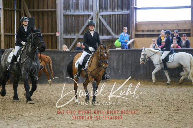 IMG_1584 | Turniersportfotografie; Pferdefotografie; Dressurfotografie