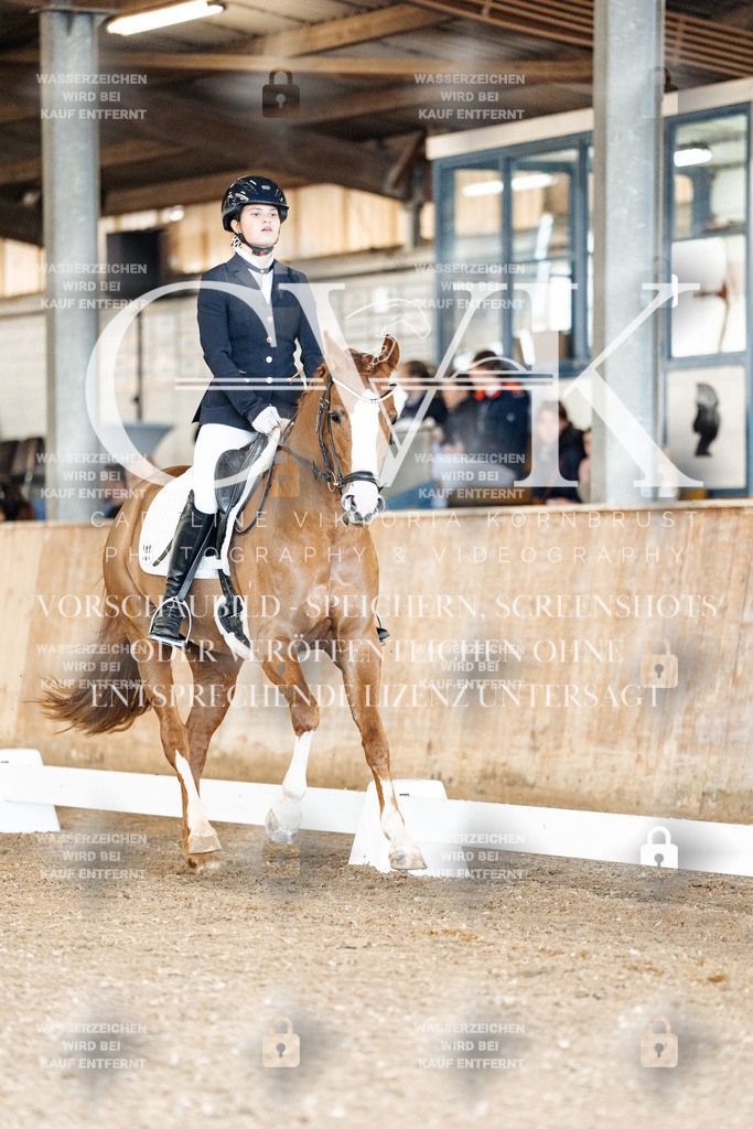 CK900801 | Turnierfotografie Pferdefotografie Trier Rheinland-Pfalz Pferdesport Reitsport Tierfotografie Sportfotografie Pferdevideo Pferdevideografie Equestrianvideography equestrianphotography  - Realisiert mit Pictrs.com