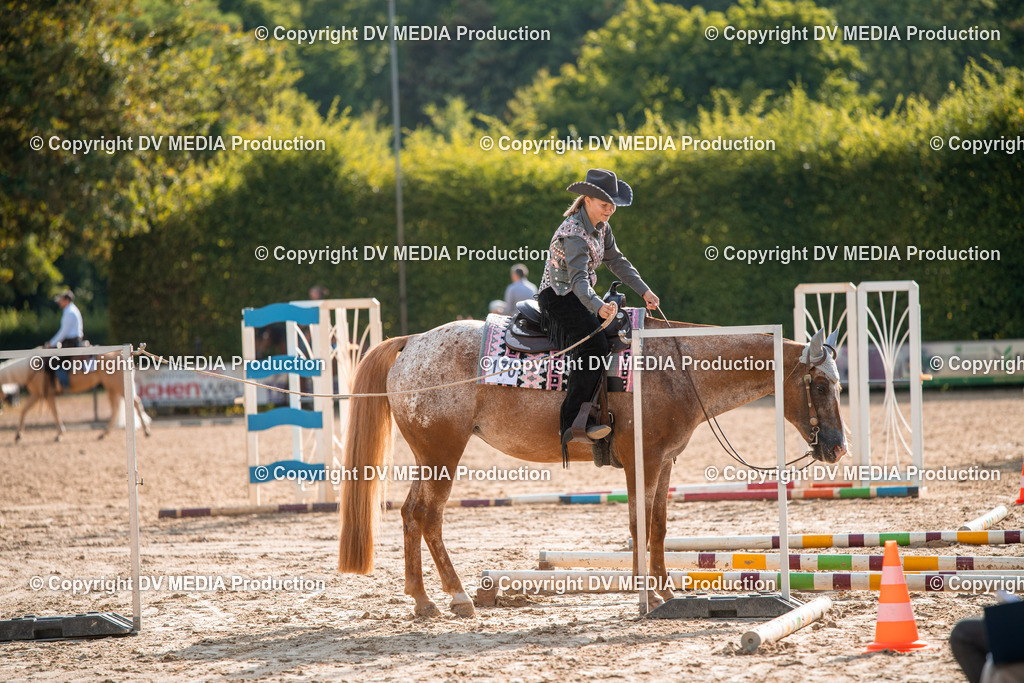 ZS3_9075 | dv-media-shop - Realisiert mit Pictrs.com