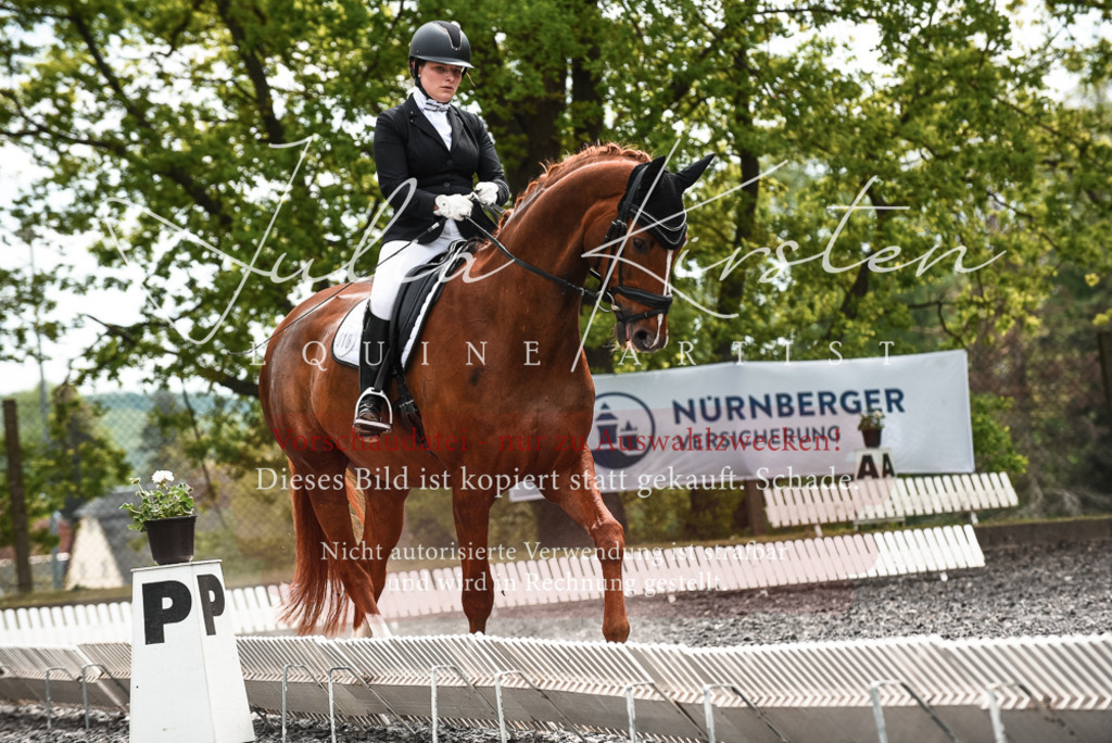 20230514_JK-Röhrsdorf-24-018 | Pferde- und Turnierfotografie in Westsachsen. Pferdeportraits, Auftragszeichnungen und intuitive Kunst.